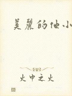 美丽的他小说
