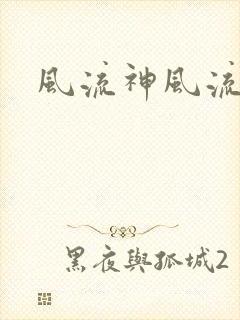 风流神风流记