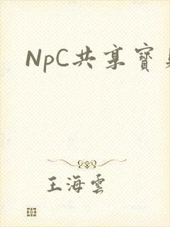 NpC共享宝贝