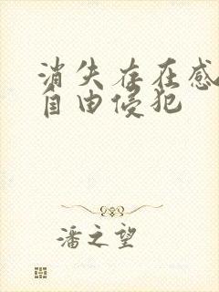 消失存在感消失自由侵犯