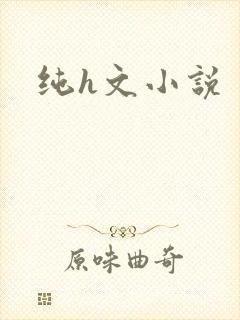 纯h文小说
