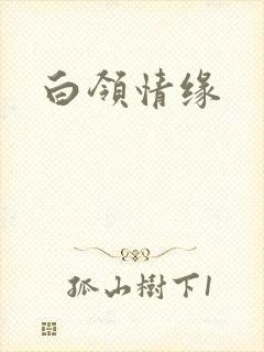 白领情缘