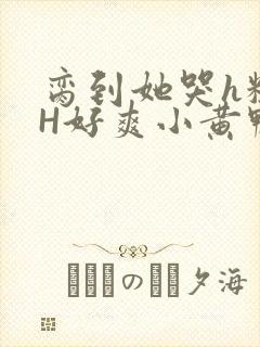 脔到她哭h粗话H好爽小黄鸭视频