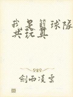 我是篮球队的公共玩具