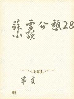 苏雪公憩28篇小说