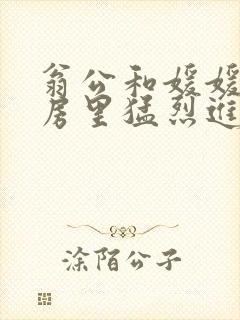 翁公和媛媛在厨房里猛烈进出