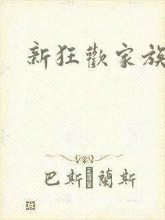 新狂欢家族小说