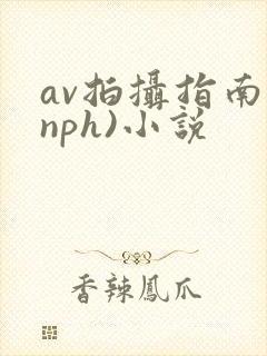 av拍摄指南(nph)小说封面