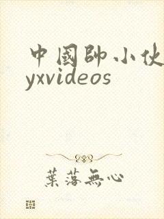 中国帅小伙gayxvideos