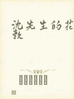 沈先生的花式调教