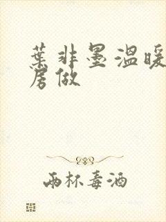 叶非墨温暖在厨房做封面