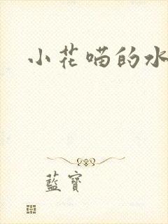 小花喵的水蜜桃