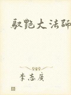 驭艳大法师封面