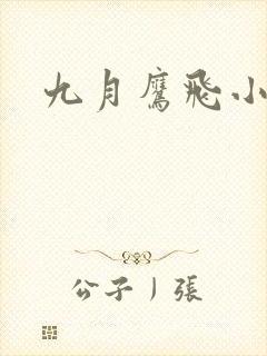九月鹰飞小说封面