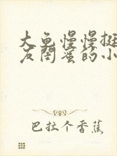 大龟慢慢挺进女友闺蜜的小说封面