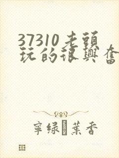 37310老头玩的很兴奋