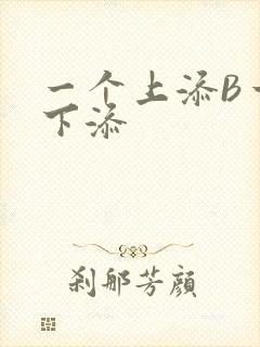 一个上添B一个下添