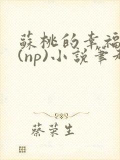 苏桃的幸福生活(np)小说笔趣阁沐沐