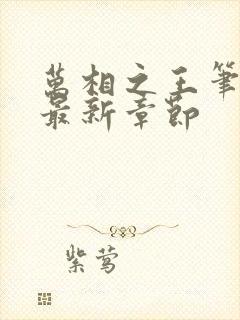 万相之王笔趣阁最新章节