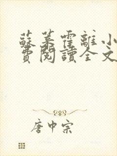 苏莱霍离小说免费阅读全文