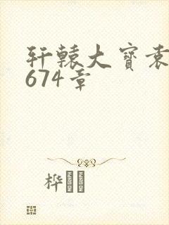 轩辕大宝袁雪妃674章