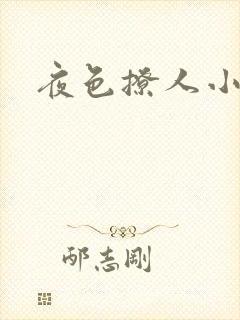 夜色撩人小说