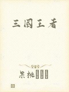 三国王者封面