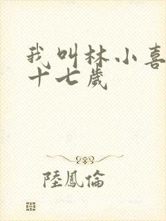 我叫林小喜今年十七岁封面
