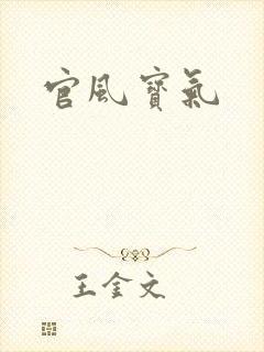 官风宝气封面