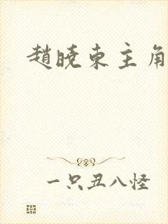 赵晓东主角小说