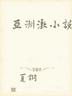 亚洲激小说封面