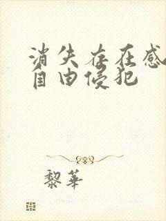 消失存在感消失自由侵犯