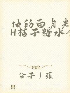 他的白月光HVH桔子糖水全文封面