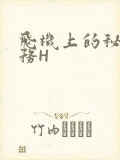 飞机上的秘密服务H