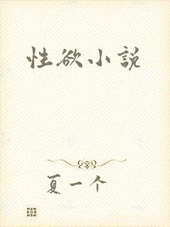 性欲小说封面