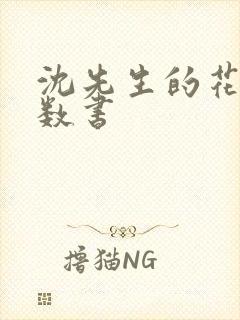 沈先生的花式调数书