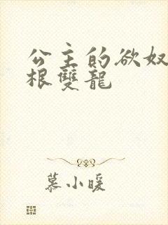 公主的欲奴h四根双龙