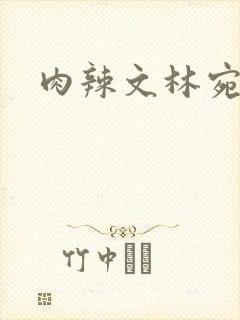 肉辣文林宛宛封面