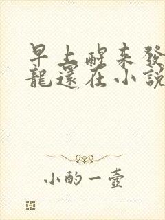 早上醒来发现巨龙还在小说