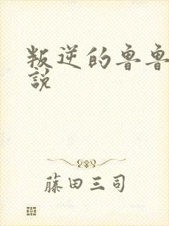 叛逆的鲁鲁修小说