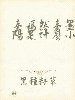 秦嫣然秦墨浓林阳是什么小说