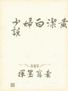 少妇白洁黄色小说