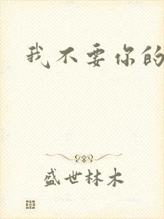 我不要你的承诺