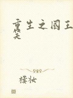 重生之国王的微笑