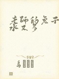 老师的兔子又软水又多