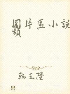 图片区小说区视频