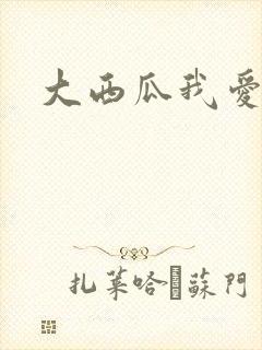 大西瓜我爱你封面