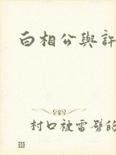 白相公与许娘子封面