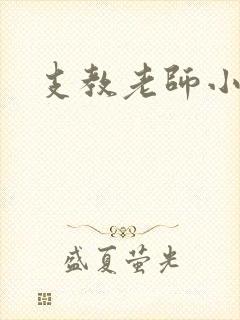 支教老师小说封面