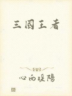 三国王者